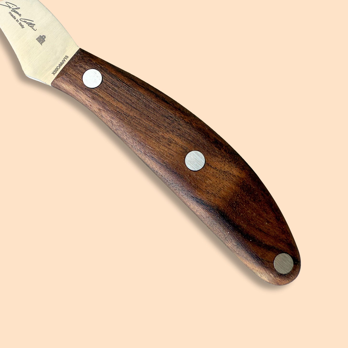 Spelucchino curvo